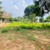 LAND FOR SALE IN URUMPIRAI